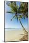 The White Sand Palm-Fringed Beach at This Laid-Back Village and Resort; Samara-Rob Francis-Mounted Photographic Print