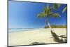 The White Sand Palm-Fringed Beach at This Laid-Back Village and Resort-Rob Francis-Mounted Photographic Print