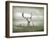 The White Stag-Lynne Davies-Framed Photographic Print