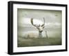 The White Stag-Lynne Davies-Framed Photographic Print