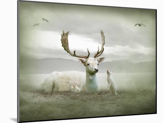 The White Stag-Lynne Davies-Mounted Photographic Print