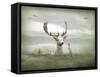 The White Stag-Lynne Davies-Framed Stretched Canvas