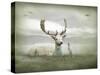 The White Stag-Lynne Davies-Stretched Canvas