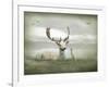 The White Stag-Lynne Davies-Framed Photographic Print