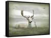 The White Stag-Lynne Davies-Framed Stretched Canvas