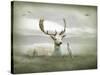 The White Stag-Lynne Davies-Stretched Canvas