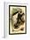 The White-Tailed Guereza-G.r. Waterhouse-Framed Art Print