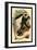The White-Tailed Guereza-G.r. Waterhouse-Framed Art Print