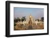 The White Temple (Wat Rong Khun), Ban Rong Khun, Chiang Mai, Thailand, Southeast Asia, Asia-Jochen Schlenker-Framed Photographic Print