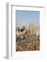 The White Temple (Wat Rong Khun), Ban Rong Khun, Chiang Mai, Thailand, Southeast Asia, Asia-Jochen Schlenker-Framed Photographic Print