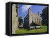 The White Tower, Tower of London, London, England, UK-Walter Rawlings-Framed Stretched Canvas