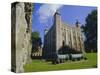 The White Tower, Tower of London, London, England, UK-Walter Rawlings-Stretched Canvas