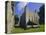 The White Tower, Tower of London, London, England, UK-Walter Rawlings-Stretched Canvas