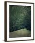 The White Walk-Tim Kahane-Framed Photographic Print