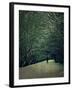 The White Walk-Tim Kahane-Framed Photographic Print