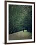 The White Walk-Tim Kahane-Framed Photographic Print