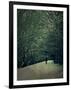 The White Walk-Tim Kahane-Framed Photographic Print