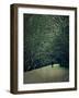 The White Walk-Tim Kahane-Framed Photographic Print