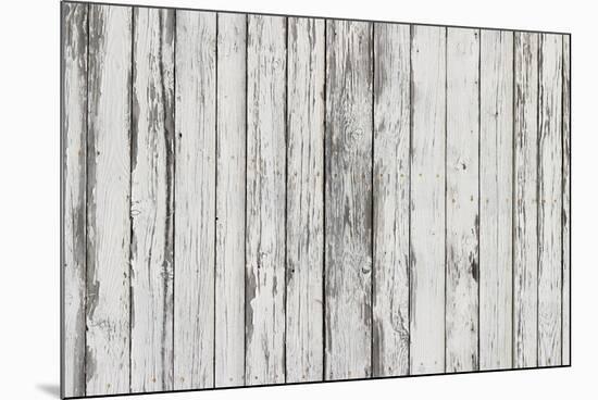 The White Wood Texture with Natural Patterns Background-Madredus-Mounted Photographic Print