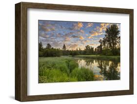 The Whitefish River at Sunrise Reflecting in Whitefish, Montana-Chuck Haney-Framed Photographic Print