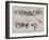 The Whitsun Monday Carthorse Parade in Regent's Park-Frank Craig-Framed Giclee Print