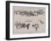 The Whitsun Monday Carthorse Parade in Regent's Park-Frank Craig-Framed Giclee Print