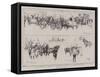 The Whitsun Monday Carthorse Parade in Regent's Park-Frank Craig-Framed Stretched Canvas