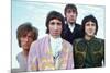 The Who – Colour Group 1968-null-Mounted Poster