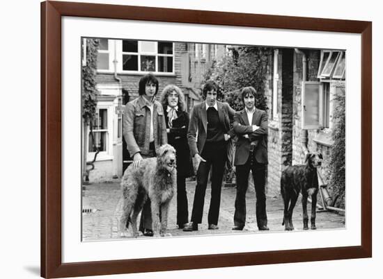 The Who, with Dogs-Associated Newspapers-Framed Photo