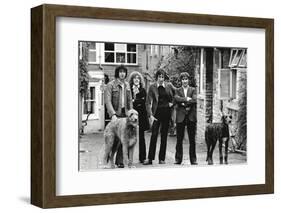 The Who, with Dogs-Associated Newspapers-Framed Photo