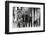 The Who, with Dogs-Associated Newspapers-Framed Photo