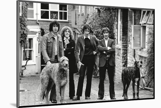 The Who, with Dogs-Associated Newspapers-Mounted Photo