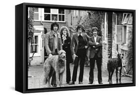 The Who, with Dogs-Associated Newspapers-Framed Stretched Canvas