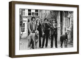 The Who, with Dogs-Associated Newspapers-Framed Photo