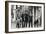 The Who, with Dogs-Associated Newspapers-Framed Photo