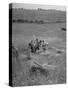 The Whole Family of Farmers Harvesting Wheat in Field-Dmitri Kessel-Stretched Canvas