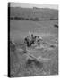 The Whole Family of Farmers Harvesting Wheat in Field-Dmitri Kessel-Stretched Canvas