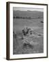 The Whole Family of Farmers Harvesting Wheat in Field-Dmitri Kessel-Framed Photographic Print