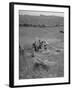 The Whole Family of Farmers Harvesting Wheat in Field-Dmitri Kessel-Framed Photographic Print