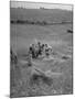 The Whole Family of Farmers Harvesting Wheat in Field-Dmitri Kessel-Mounted Photographic Print