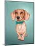 The Wiener Dog-Barruf-Mounted Art Print