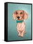 The Wiener Dog-Barruf-Framed Stretched Canvas