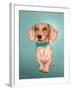 The Wiener Dog-Barruf-Framed Art Print