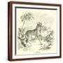 Brown Frame