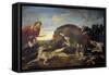 The Wild Boar Hunt, c.1640-Frans Snyders Or Snijders-Framed Stretched Canvas