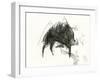 The Wild Boar, the River and the Two Mountains.-Leonardo Flores-Framed Giclee Print