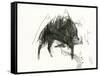 The Wild Boar, the River and the Two Mountains.-Leonardo Flores-Framed Stretched Canvas