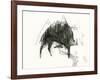 The Wild Boar, the River and the Two Mountains.-Leonardo Flores-Framed Giclee Print