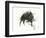 The Wild Boar, the River and the Two Mountains.-Leonardo Flores-Framed Premium Giclee Print