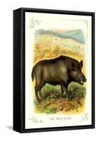 The Wild Boar-null-Framed Stretched Canvas